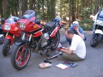 Shank and Guzzi