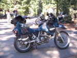 BubbaJoan's bike got an award.