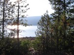 view from my tent
